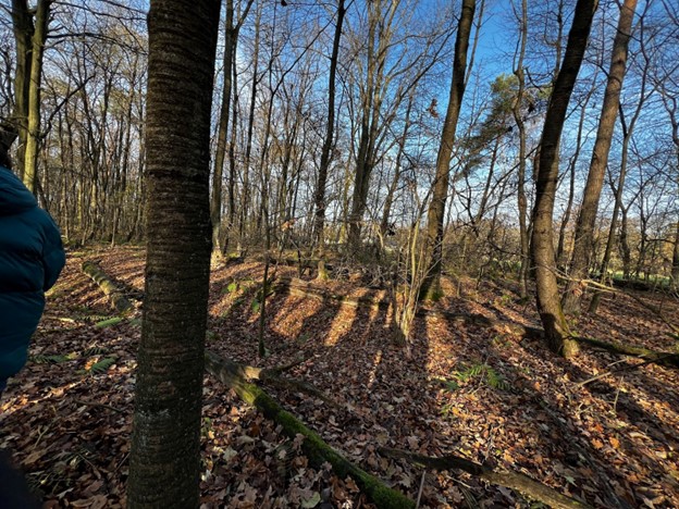 Image for DAY 3 November 25: Krępiec and Lublin Jennifer, Jenai, Nerissa, Lisa