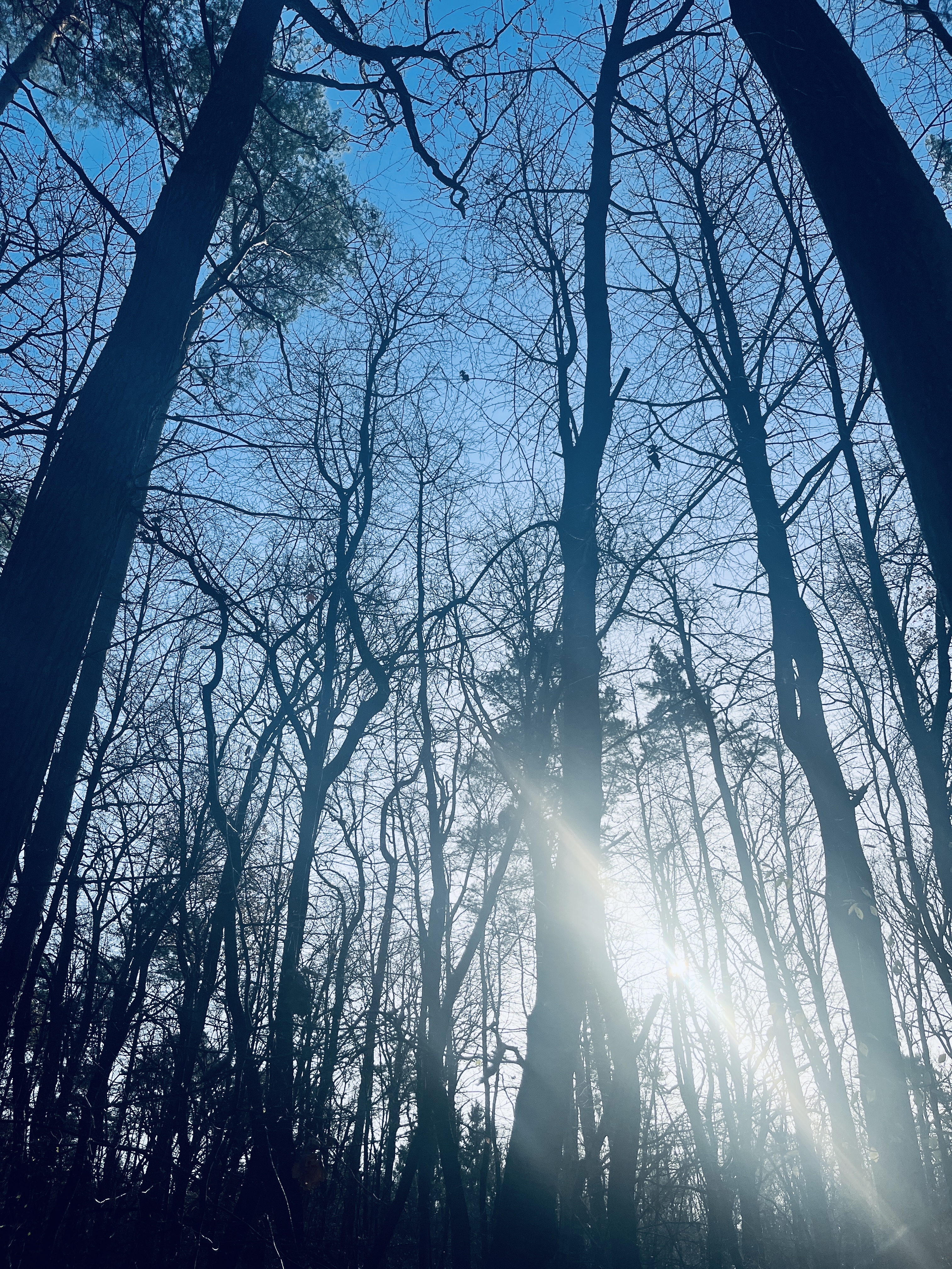 Image for DAY 3 November 25: Krępiec and Lublin Jennifer, Jenai, Nerissa, Lisa