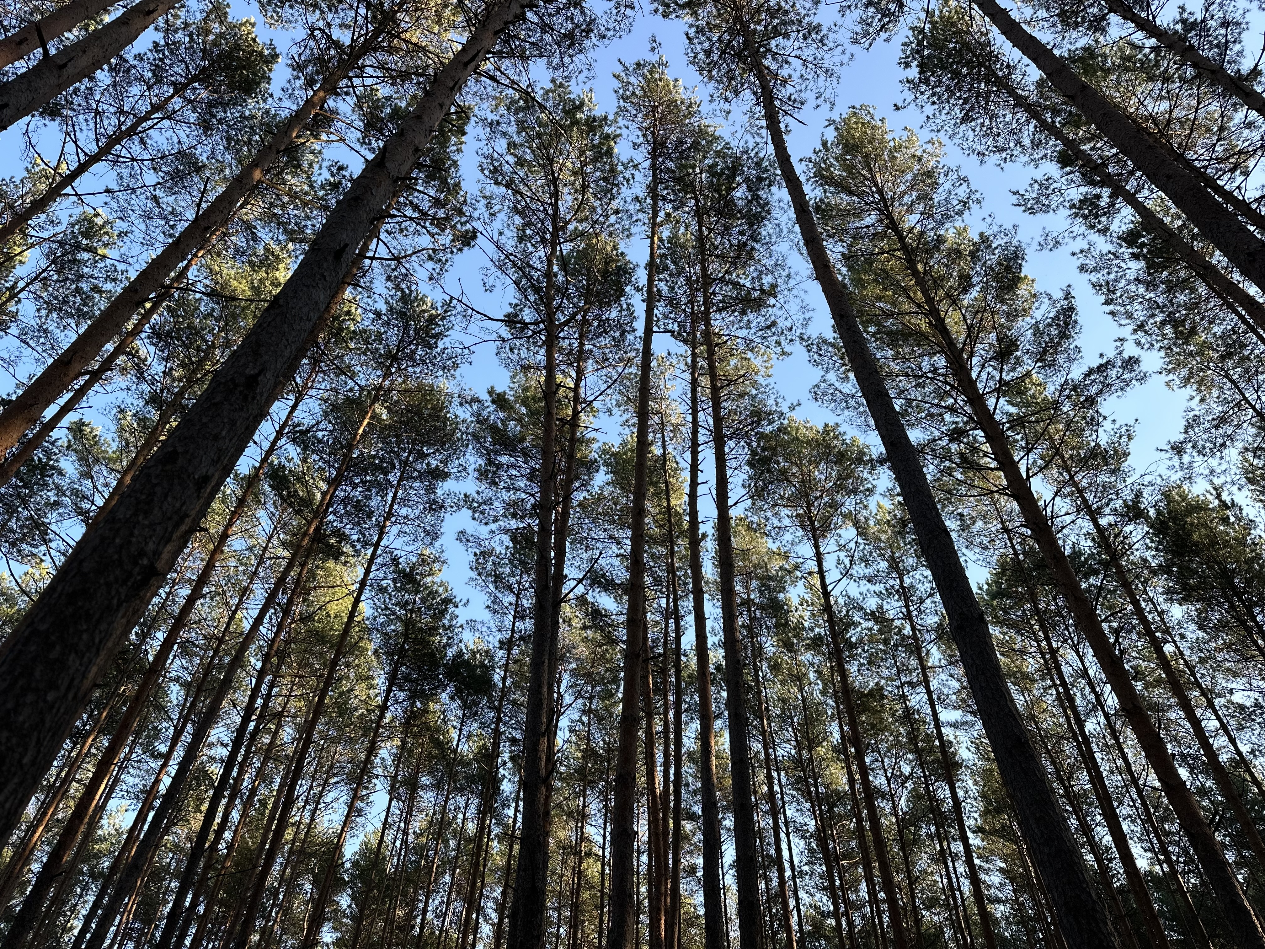 Image for DAY 4 November 26: Józefów Abby, Jenai, Casey, Justin