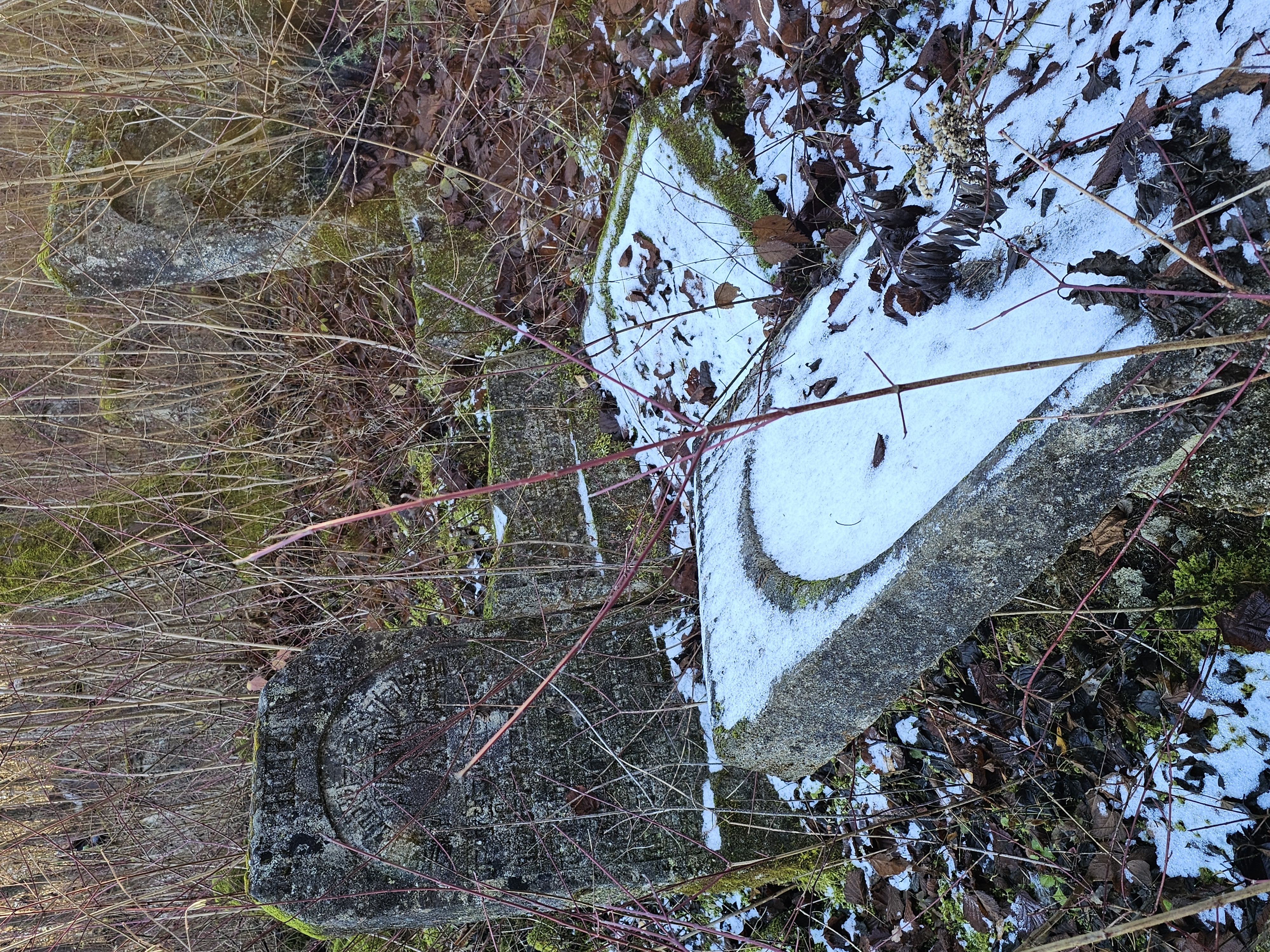 Image for DAY 4 November 26: Józefów Abby, Jenai, Casey, Justin