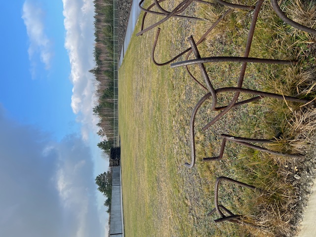 Image for DAY 5 November 27: Bełżec Jennifer, Nicole, Casey, Tammy